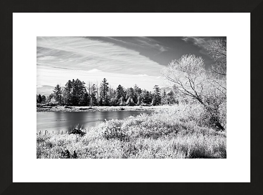 Dyke Road Park In Infrared 1 Picture Frame print