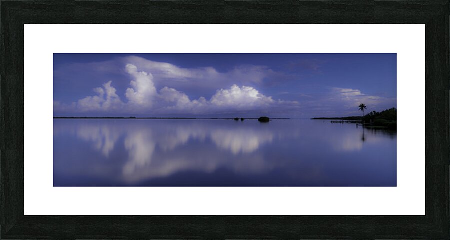 Pine Island Sound  Picture Frame print