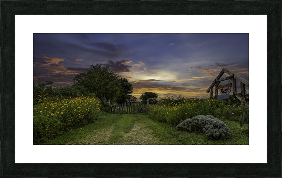 Logan Berry Picture Frame print