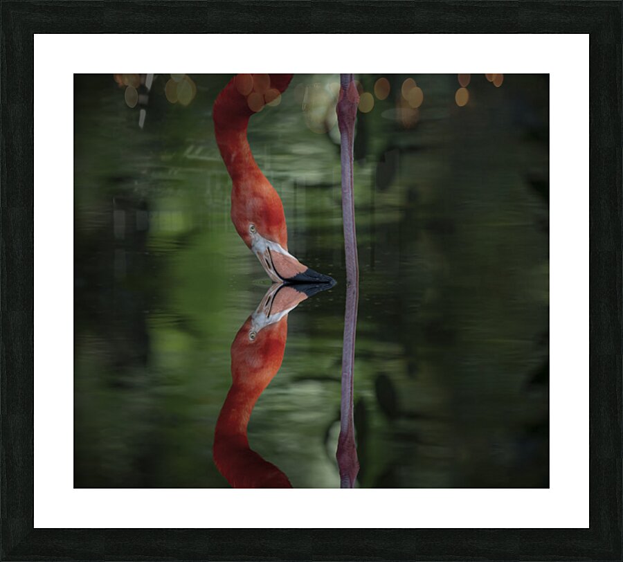 Nose to Nose Picture Frame print