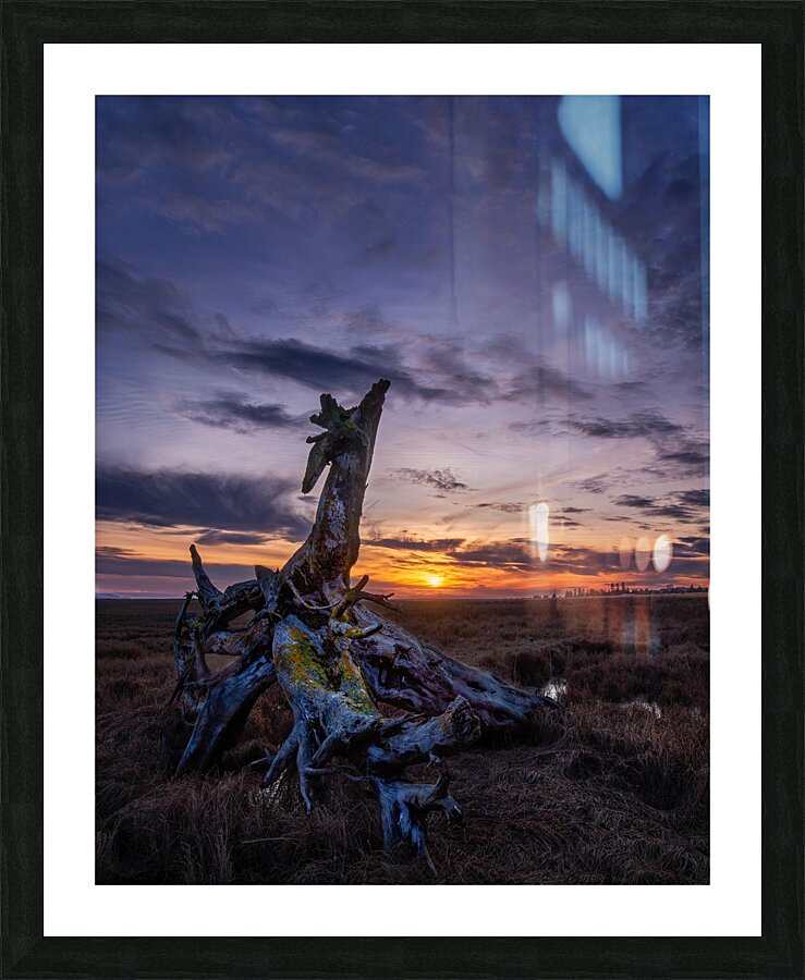 Dragon Sunset 2 Picture Frame print