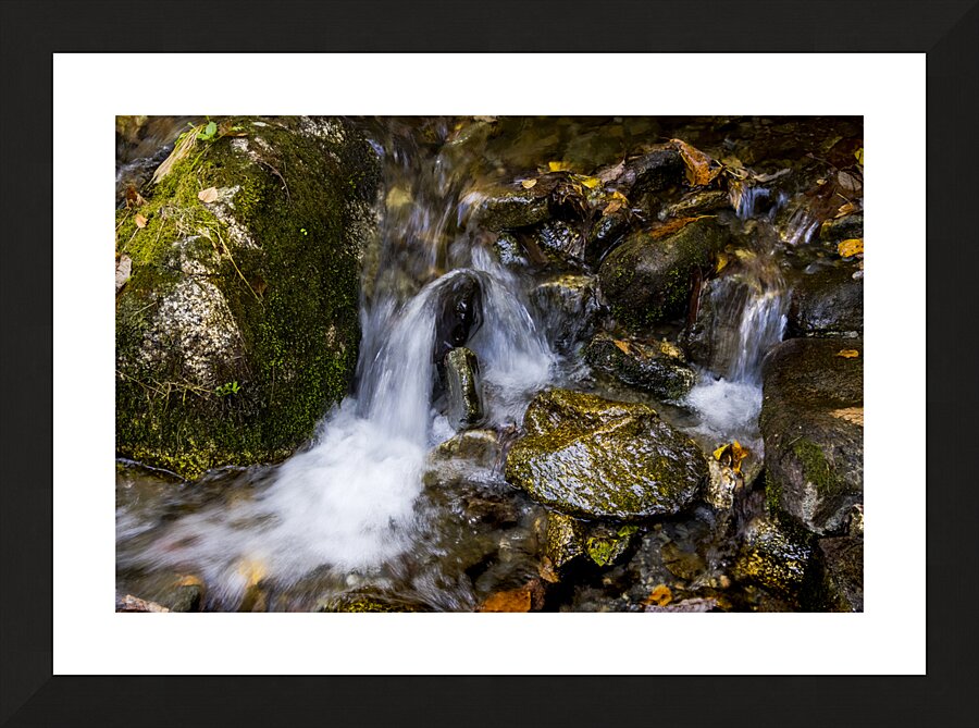 Blue Ridge Parkway Mountain Stream in  Autumn Picture Frame print