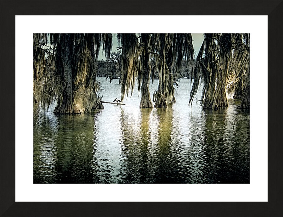 Lake Martin Winter Sun Picture Frame print