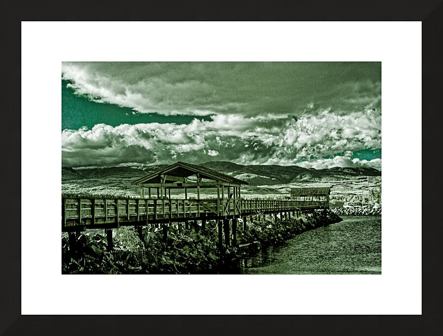 Comox Pier In Infrared Picture Frame print