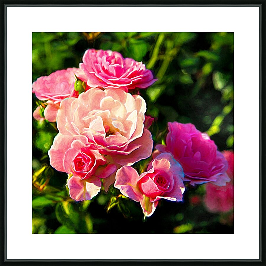 Soft Pink Rose Petals Picture Frame print