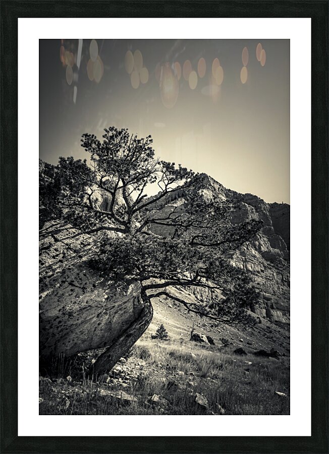 16x24 20170826 KW LN Find a Way Picture Frame print