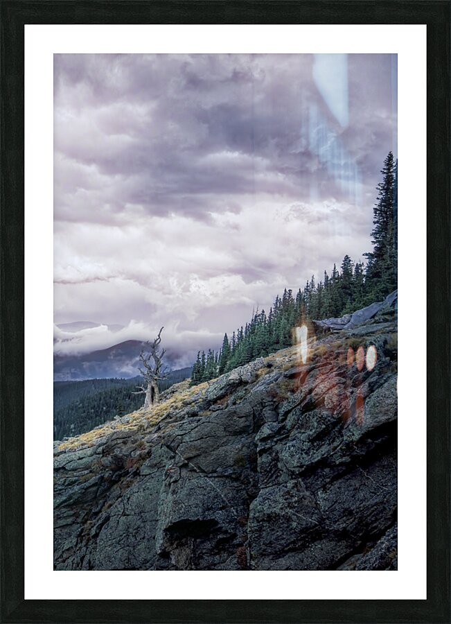16x24 Last Stand Picture Frame print