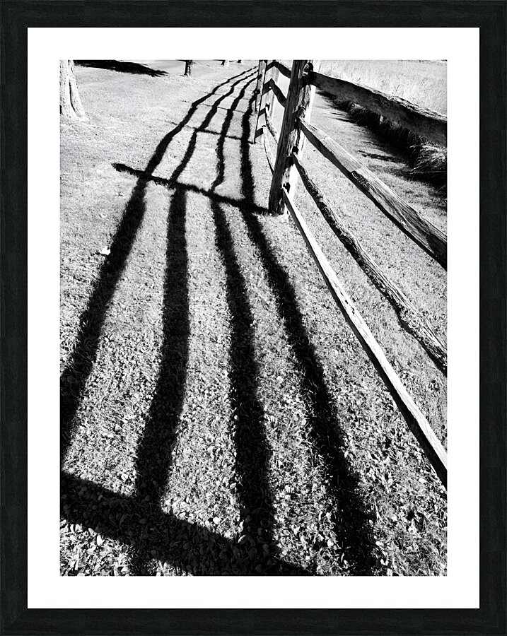 Split Rail Shadows  Framed Print Print