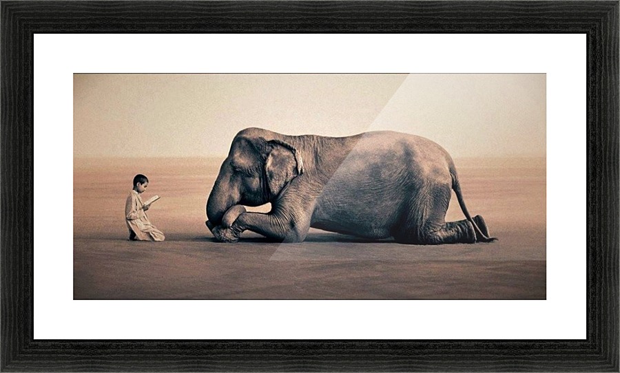 Nature Picture Frame print