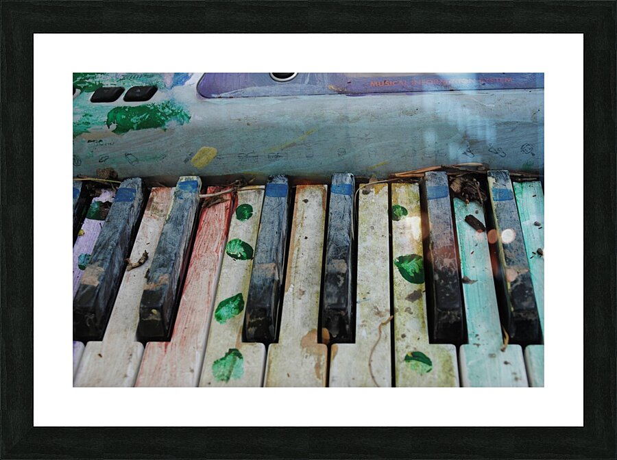 Garden Piano Picture Frame print
