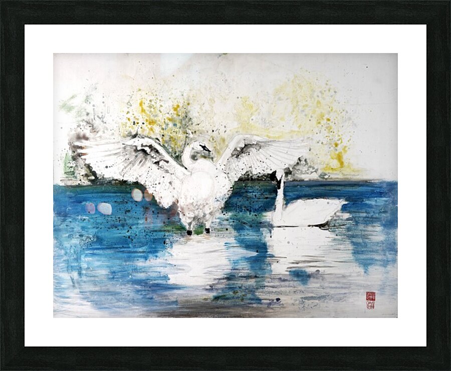 Trumpet Swans Picture Frame print