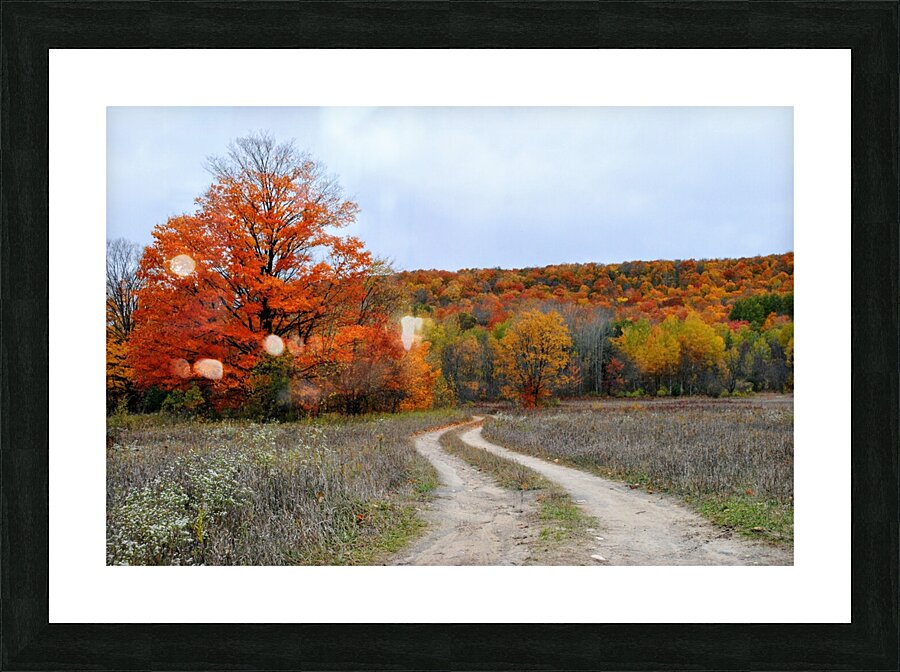 Autumn Road Picture Frame print