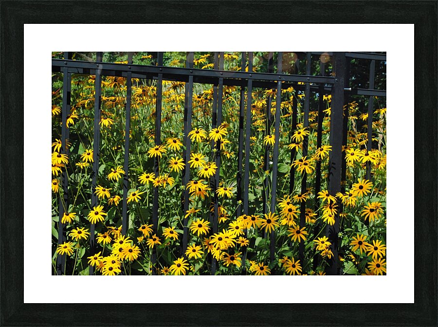 Susan Picture Frame print