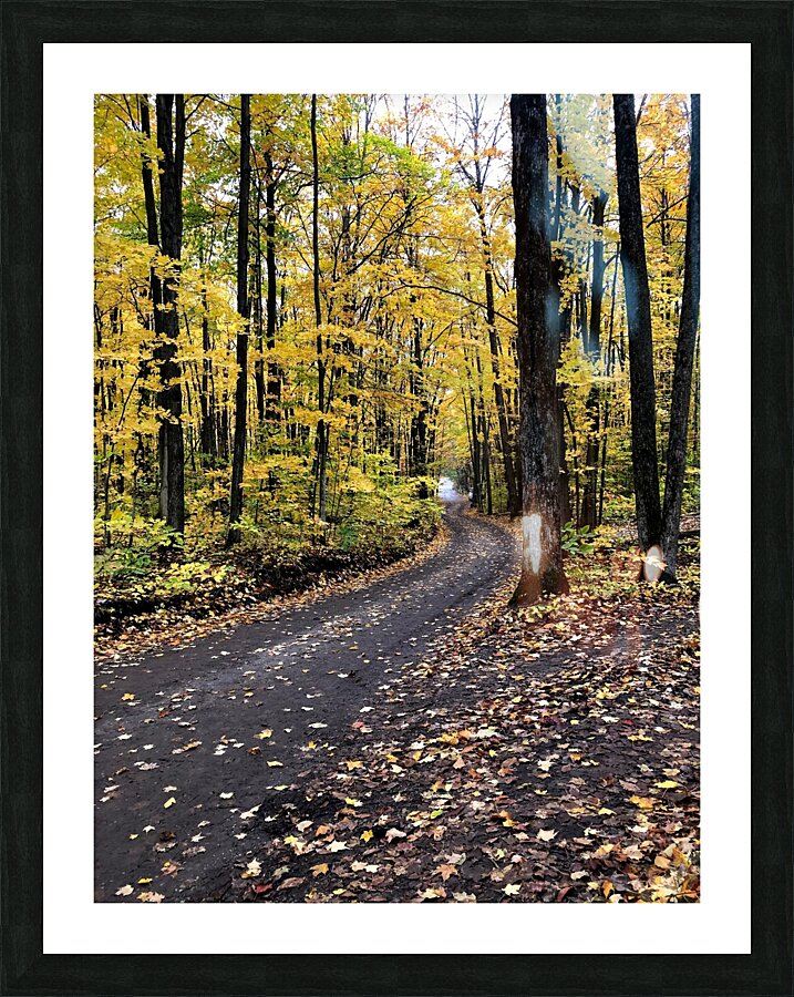 Fall Trail Picture Frame print