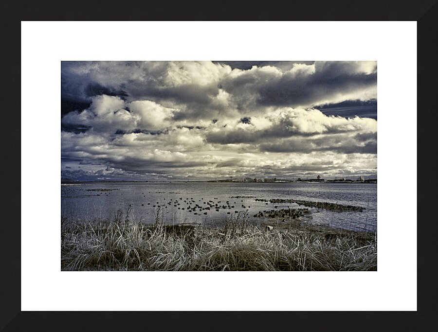 What A View Picture Frame print