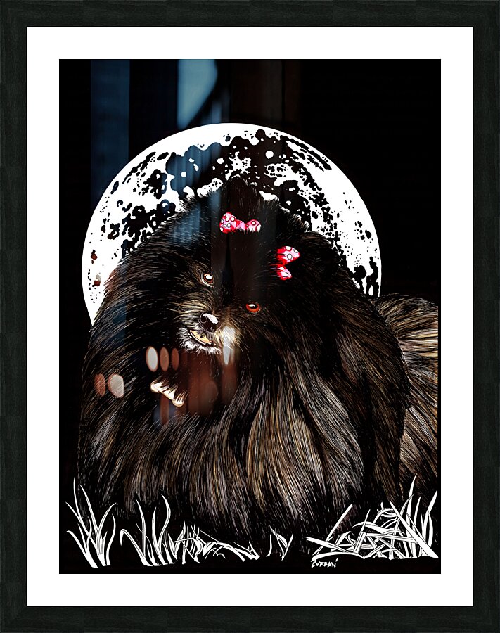 Pomeranian Impression et Cadre photo