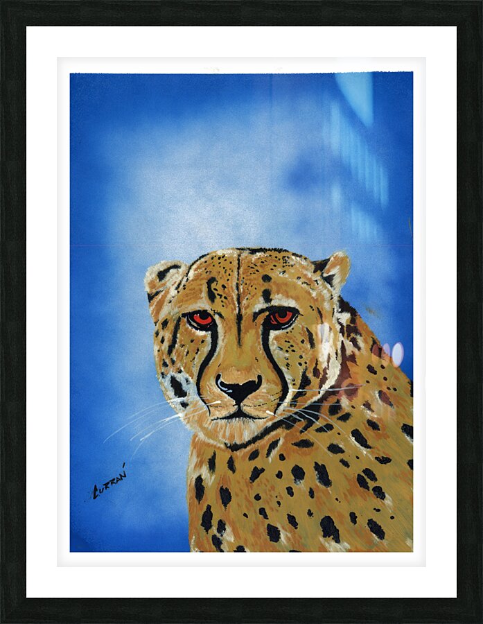Cheetah Picture Frame print