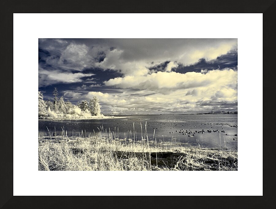 Clouds Over Comox Harbour Picture Frame print