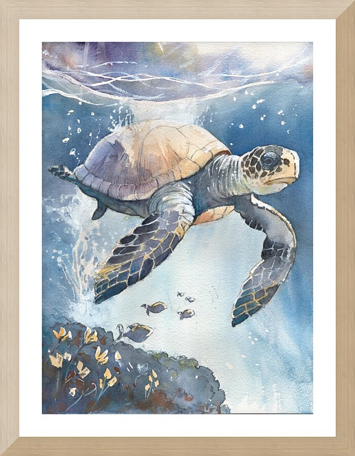 Sea Turtle - Florida  Framed Print Print