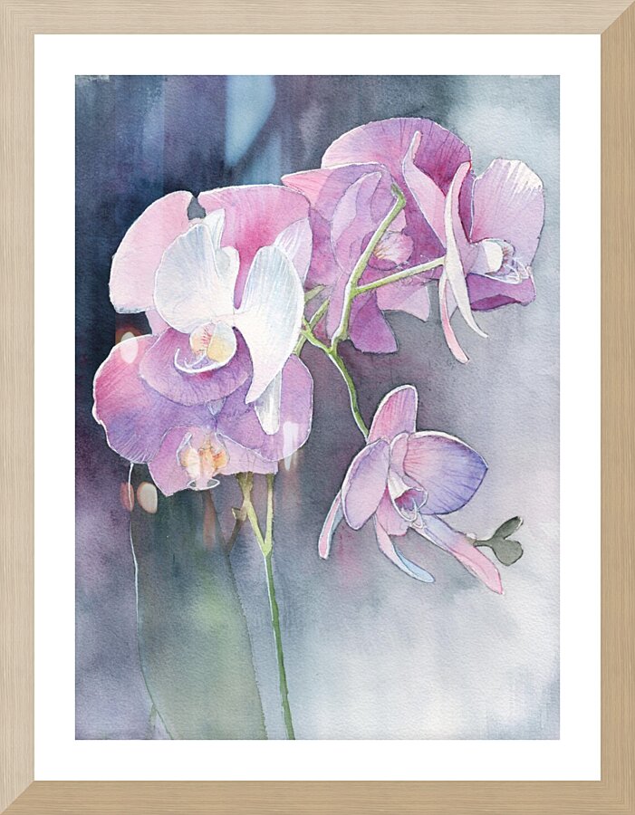 Orchids in purple and grey  Framed Print Print