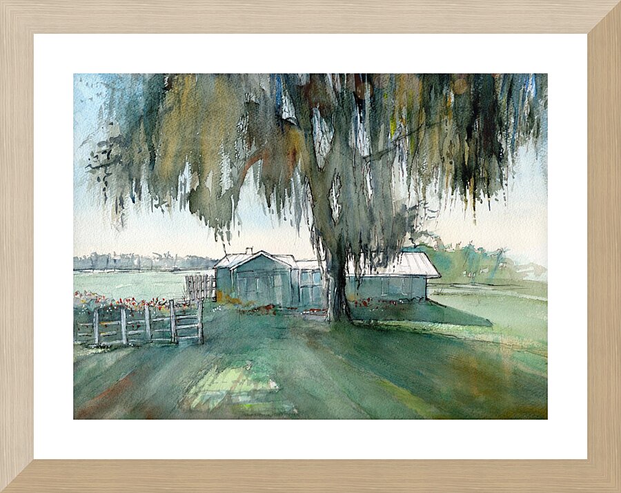 The little house on the lake in Clermont- Florida  Framed Print Print
