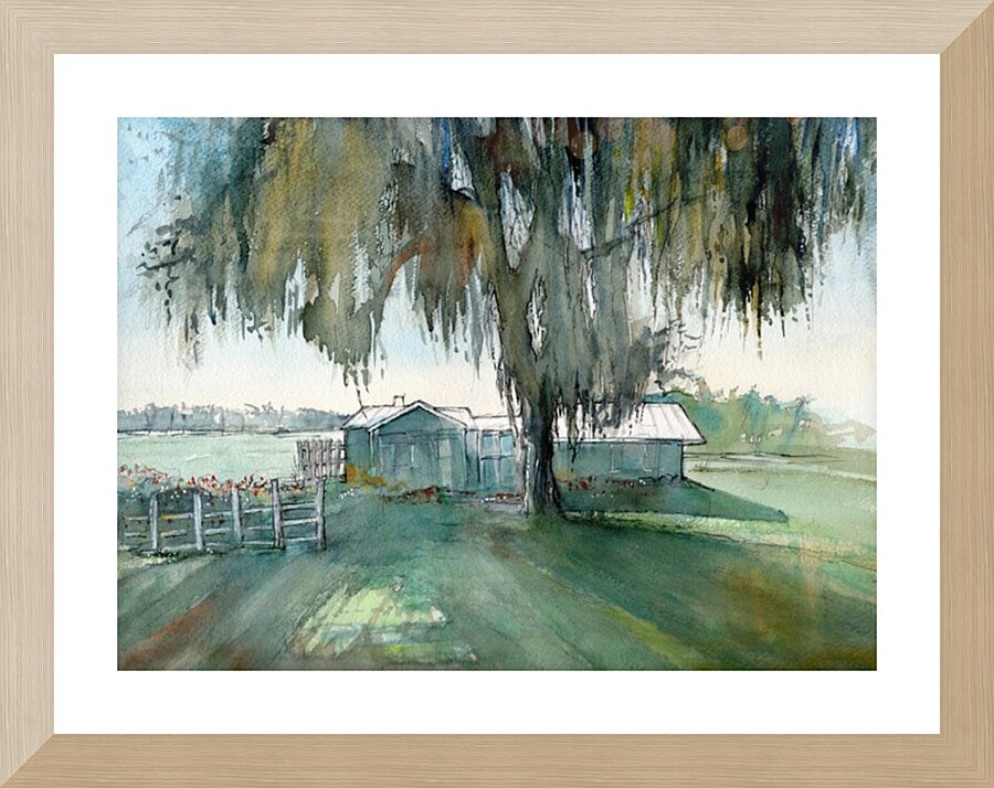 The little house on the lake in Clermont- Florida Picture Frame print