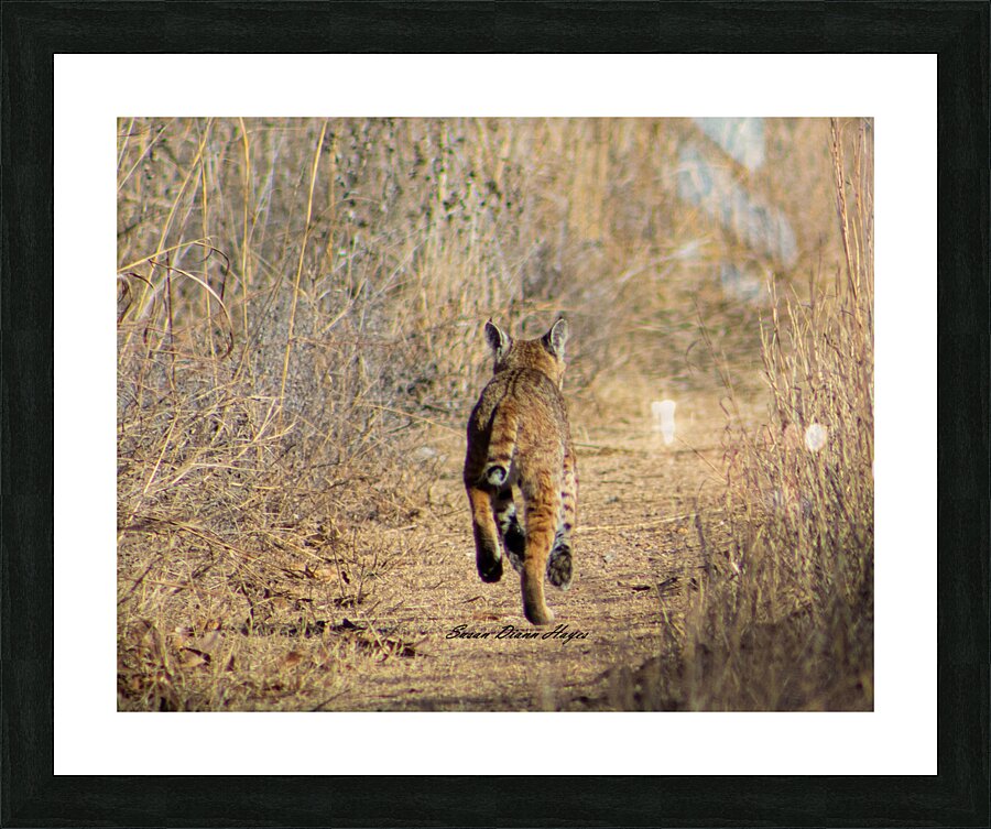 Follow Me Picture Frame print