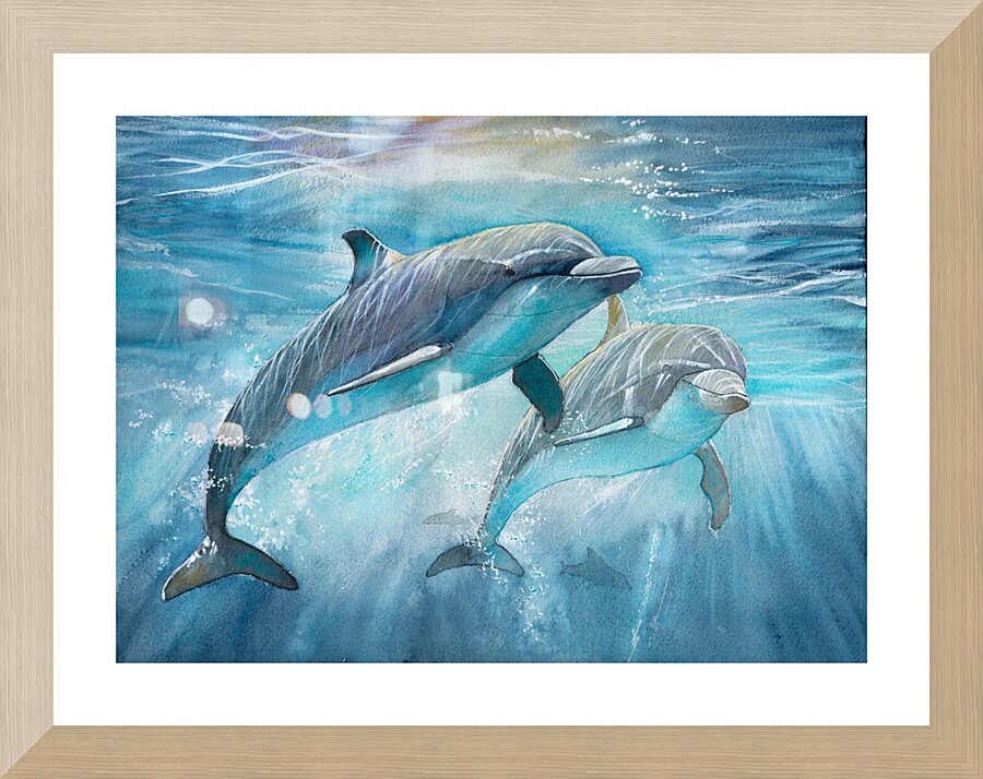 Dolphins in the ocean  Framed Print Print