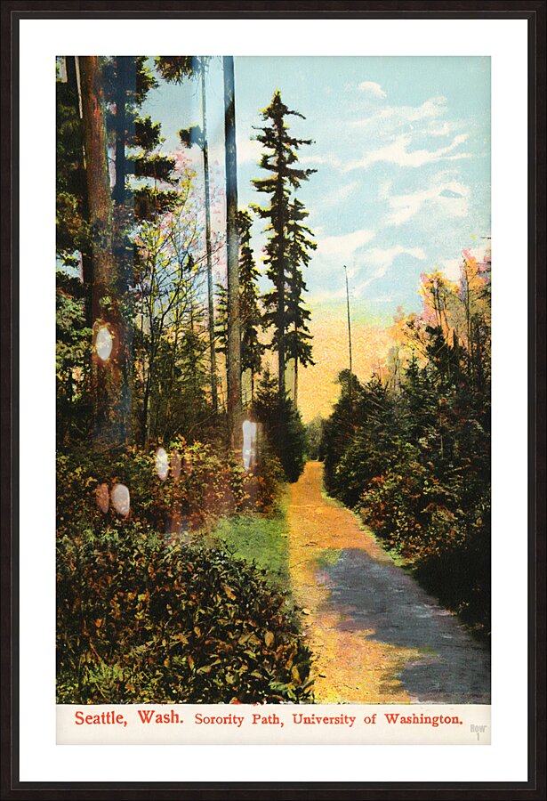 1910 university of washington campus art row1 Picture Frame print