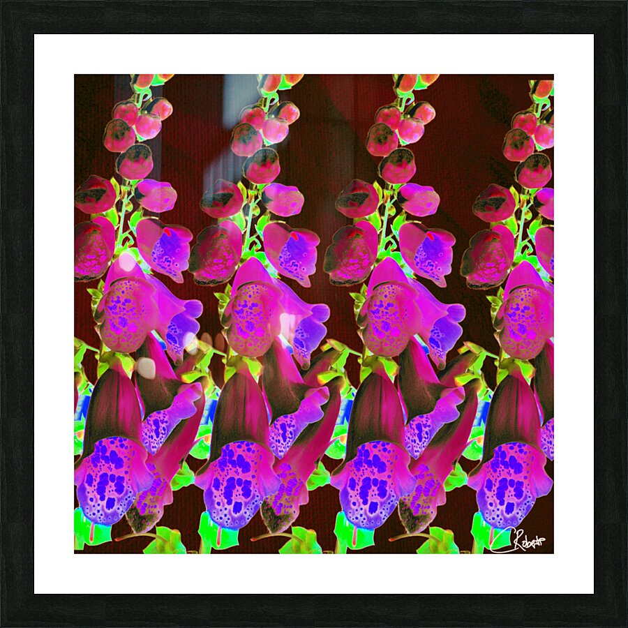 Cool Foxgloves Version 5 Picture Frame print