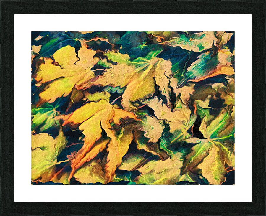 Abstract Acer Autumnal Leaves Picture Frame print