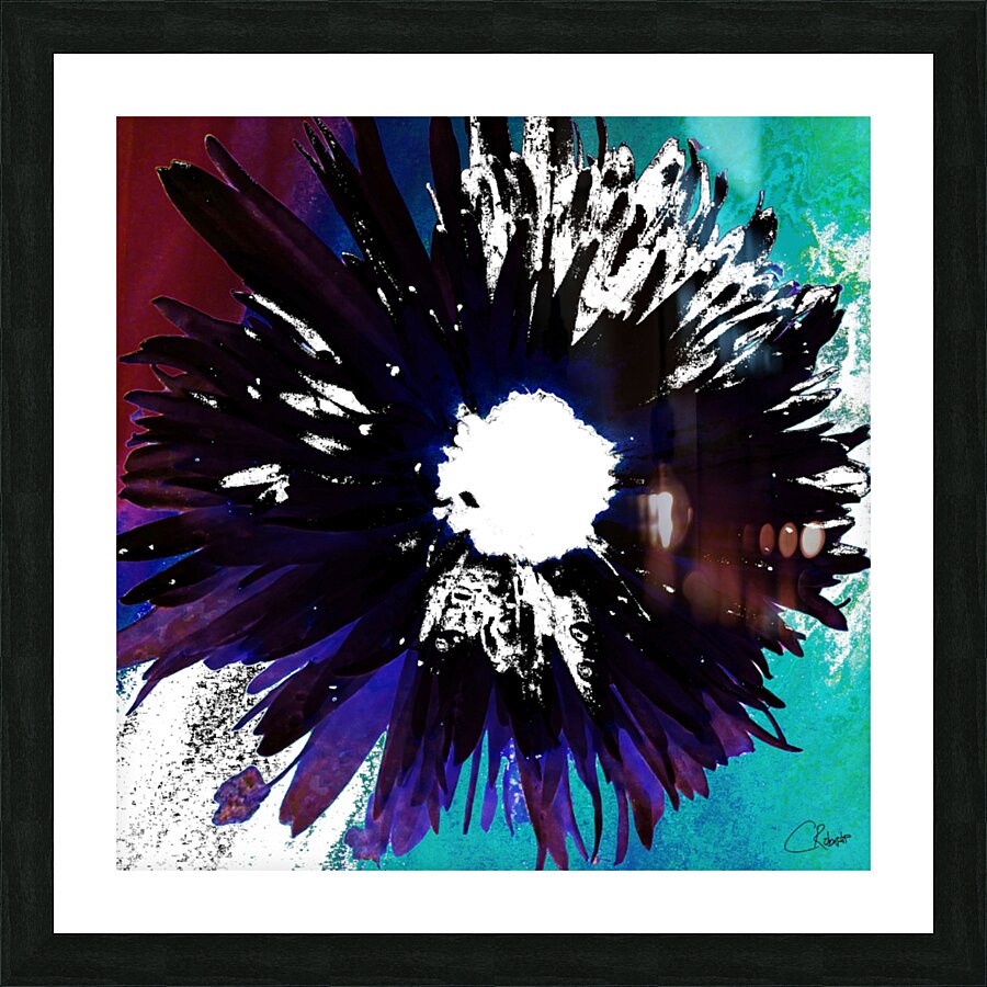 Black and White Daisy on a Coloured Abstract Background Picture Frame print