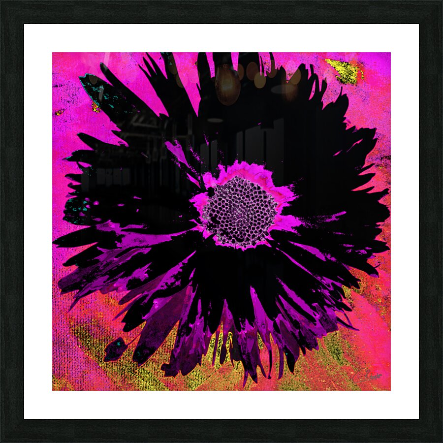 Black Abstract Daisy on a Pink Abstract Background Picture Frame print