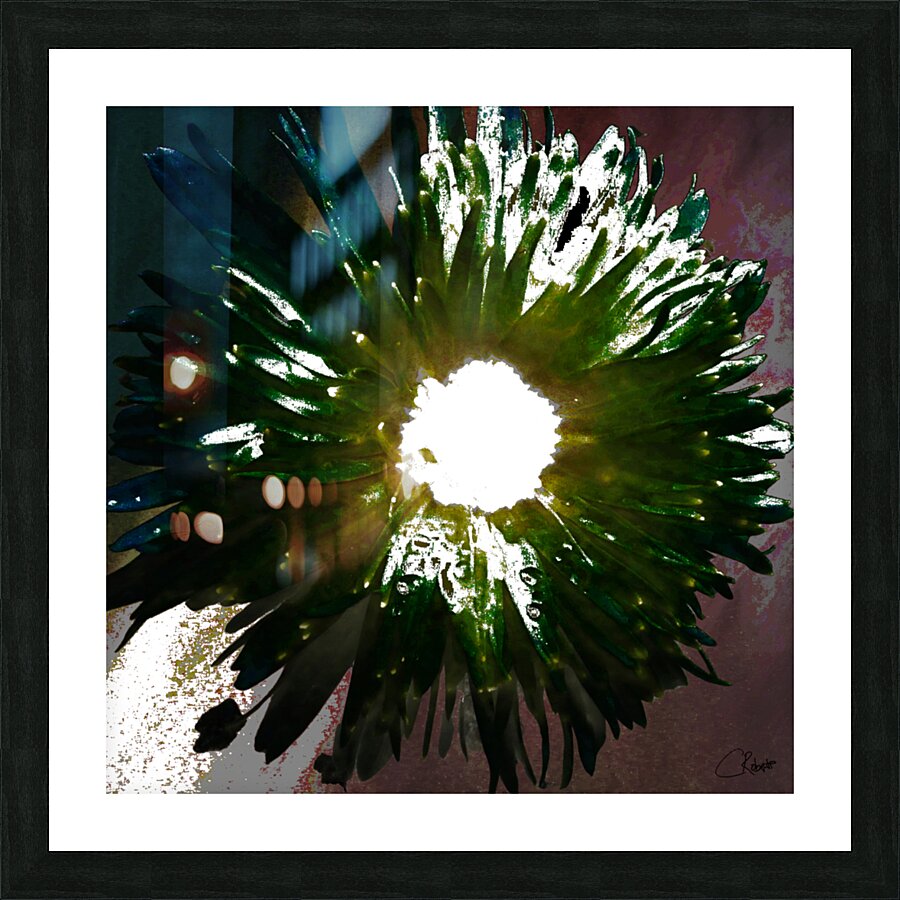 Daisy Light Centre on Darker Abstract Background Picture Frame print