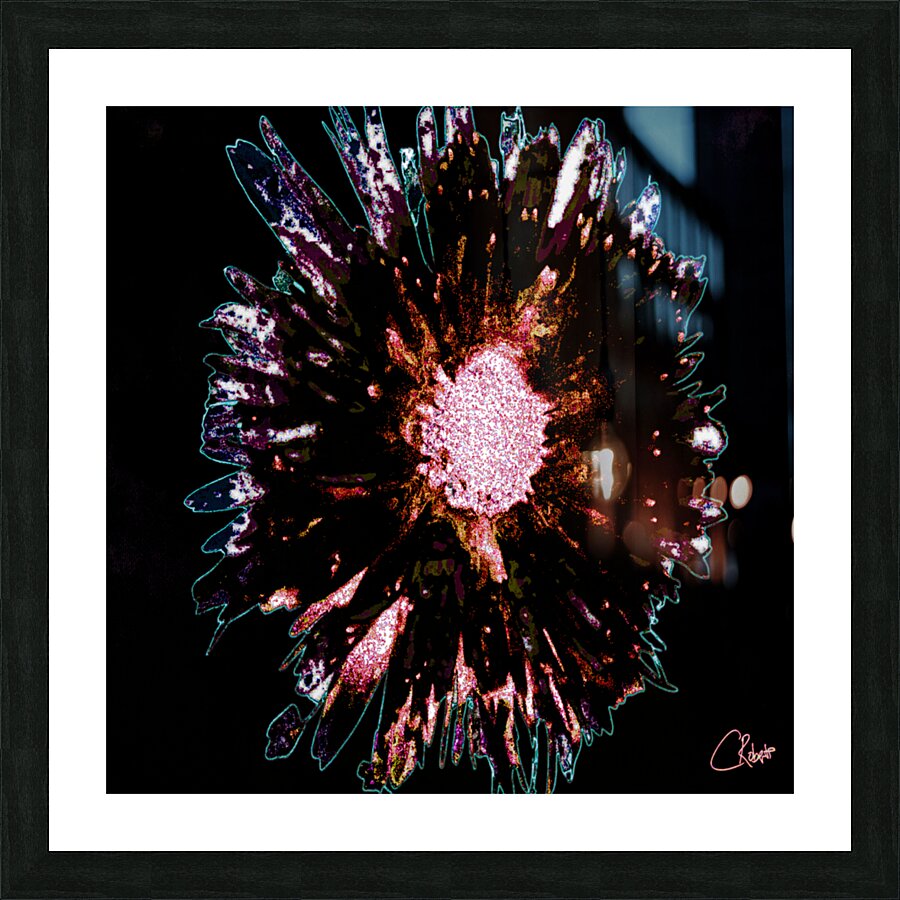 Dark Burgundy Daisy Flower on a Dark Abstract Background Picture Frame print