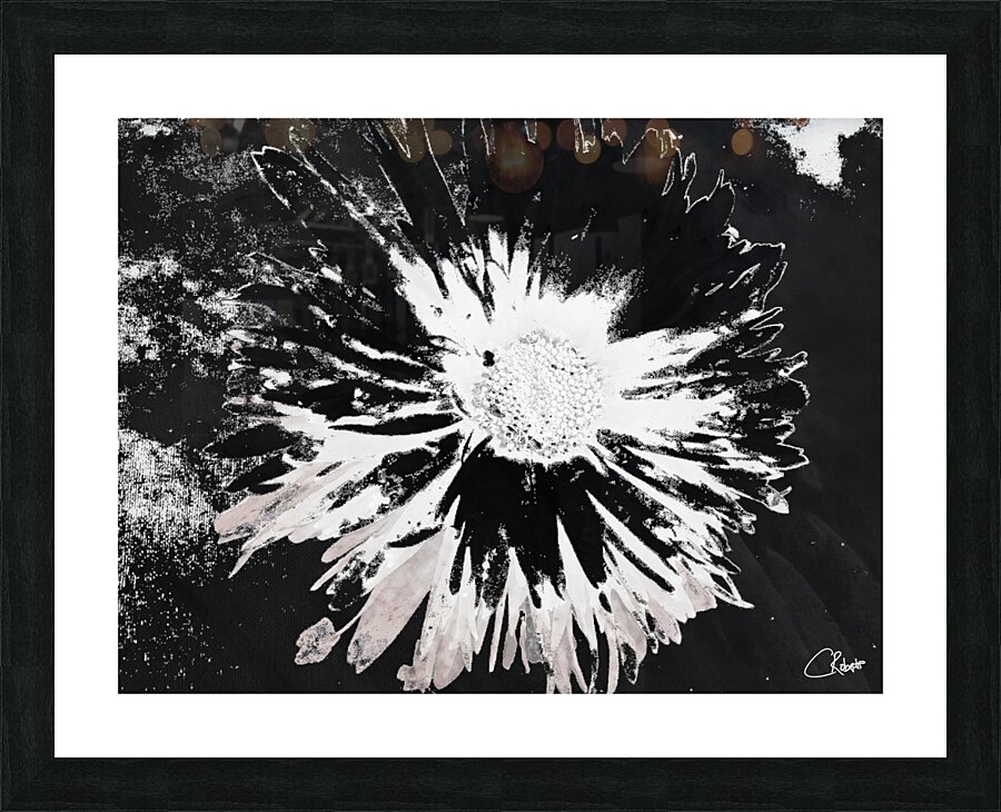 Abstract Monochrome Daisy Flower on an Abstract Monochrome Background Picture Frame print