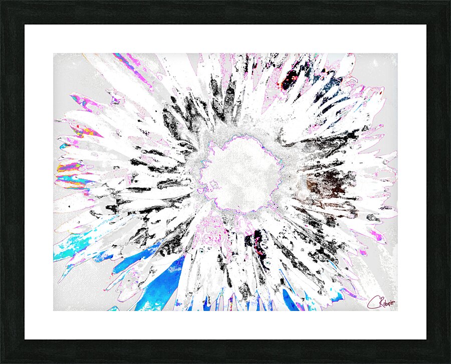 Paler Colour Splash Daisy Picture Frame print