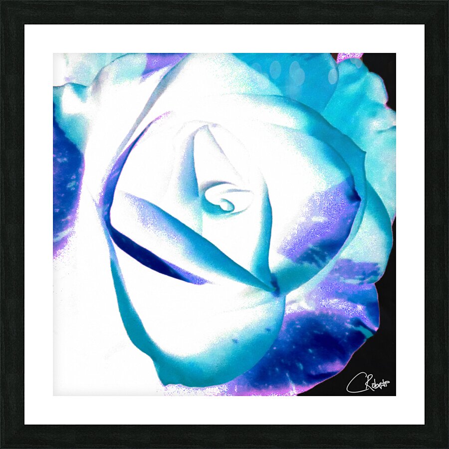 Abstract Multicoloured Rose on a Dark Abstract Background  Picture Frame print