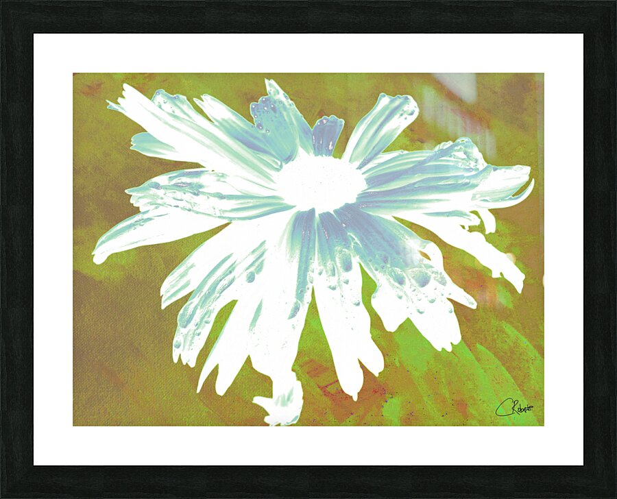 Abstract Minty Daisy Flower on an Abstract Fawn Background Picture Frame print