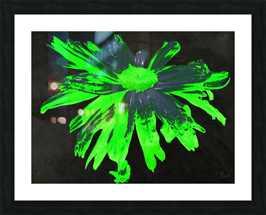 Abstract Neon Green Daisy Flower on a Dark Abstract Background  Picture Frame print