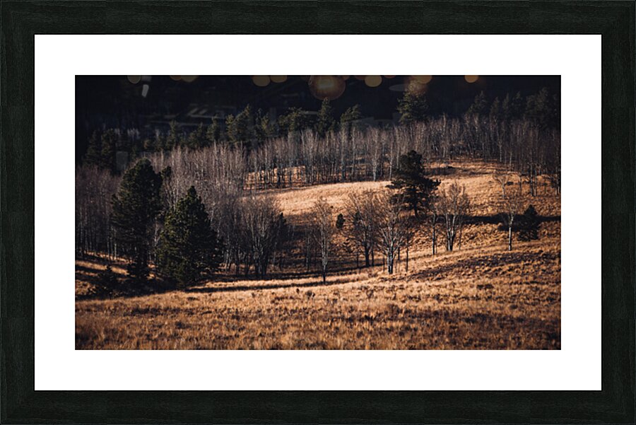Colorado Late Autumn Meadow 3 Picture Frame print