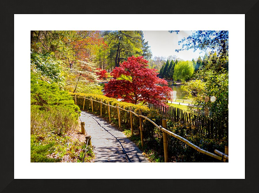 untitled 15 Picture Frame print