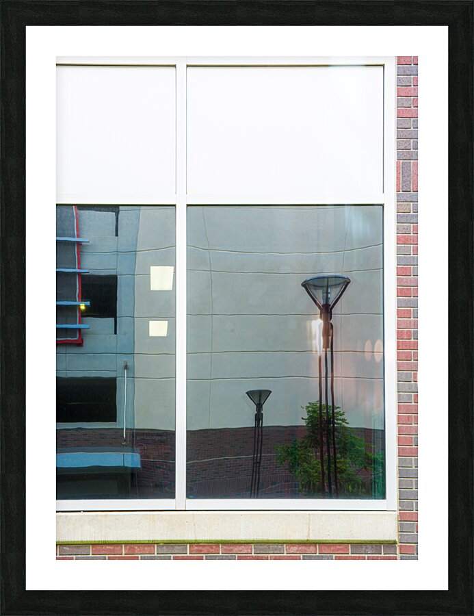 Reflections  Framed Print Print