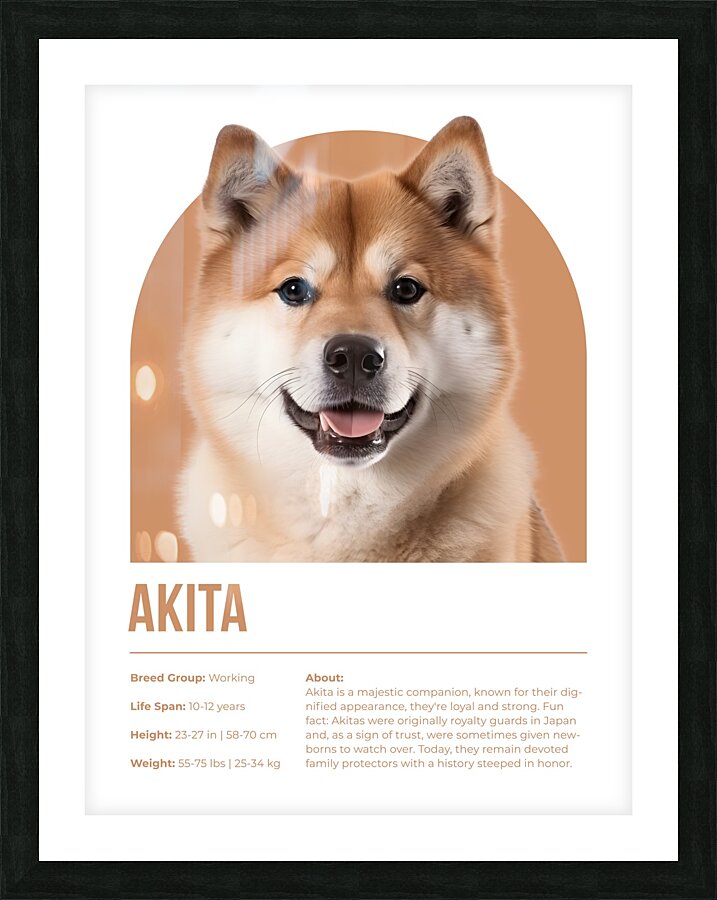 Akita Informative Poster Picture Frame print