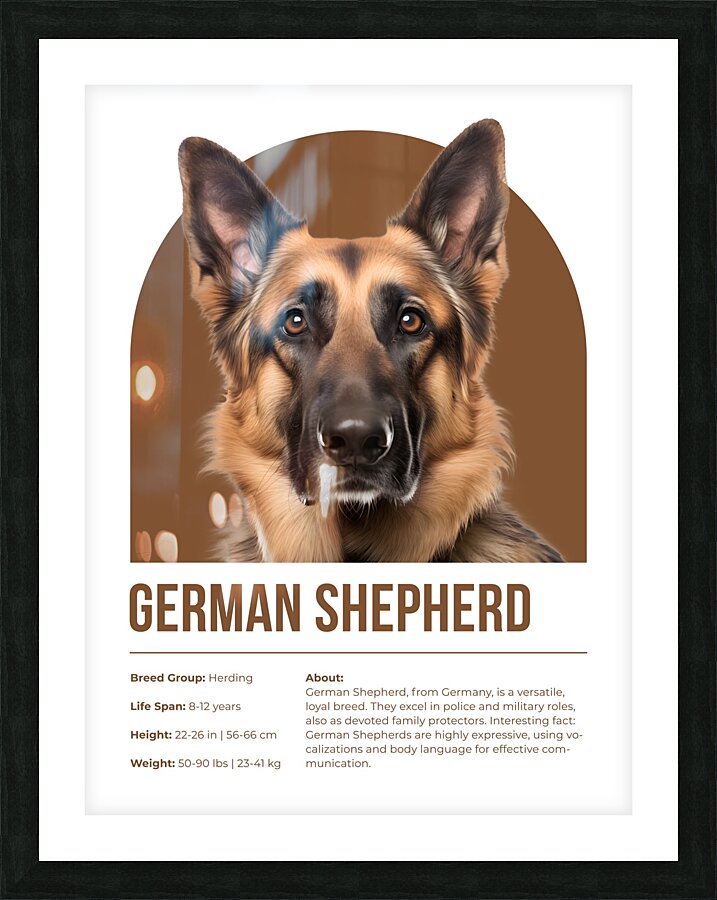 German Shepherd Informative Poster Picture Frame print
