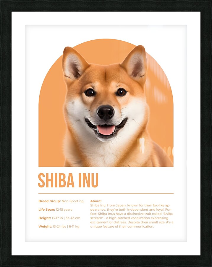 Shiba Inu Informative Poster Picture Frame print
