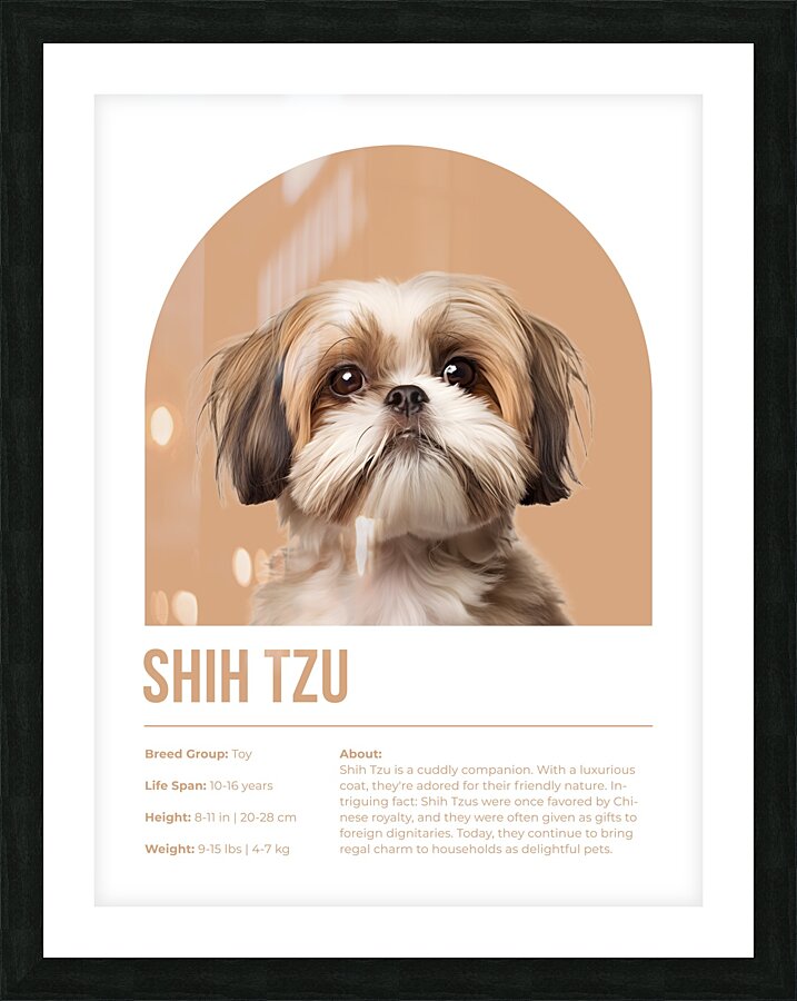 Shih Tzu Informative Poster Picture Frame print