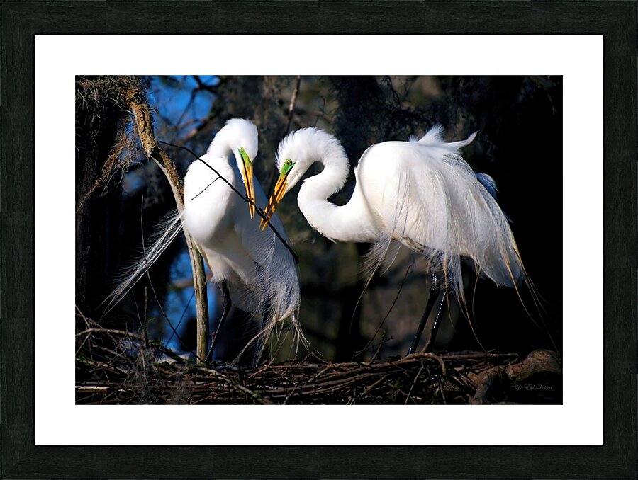 WORKING TOGETHER Picture Frame print