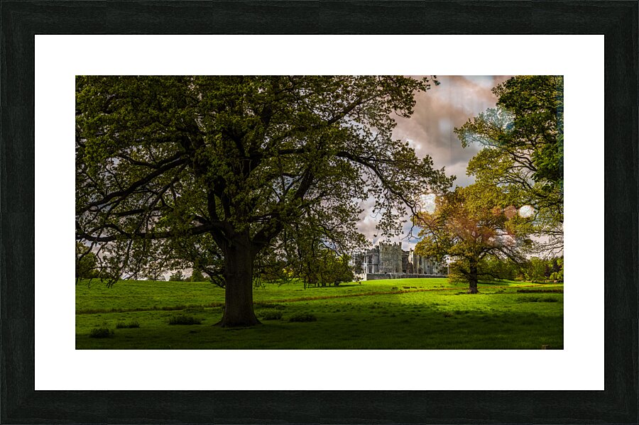 Raby Castle Elegance: An Ultra High-Resolution Journey Through Centuries Picture Frame print