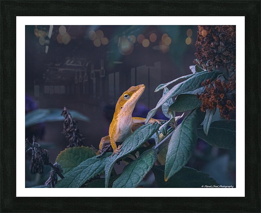  Fine Art print